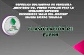 Clasificación de flynn (arquitectura del computador)