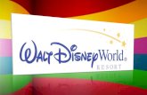 Walt Disney Resorts Calidad de Servicios