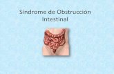 Obstrucción intestinal ;)
