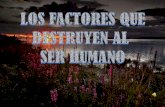 Los factores que destruyen al ser humano