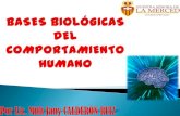 54408711 bases-biologicas-del-comportamiento-humano