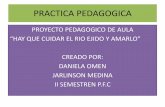 Propuesta de practica pedagogica