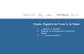 CICTE2013 - Presentación 2 - Cluster Español de Turismo de Salud - Carlos Rus - FNCP