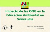 Impacto de las ONG en la Educación Ambiental