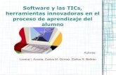 Software y las TICs