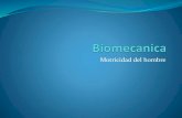 Biomecanica 8