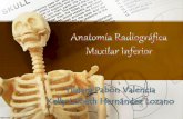 Anatomia radiografica maxilar inferior