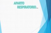 Sistema respiratorio Histología.