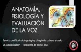Anatomía, fisiología y evaluacion de la voz