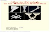Atlas de Osteología Veterinaria