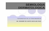 Semiologia dermatologica 97 2003-08-02-2011
