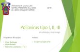 poliovirus 1 2 y 3 poliomielitis