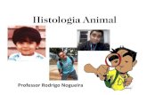 Histologia Animal