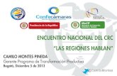 Presentacion comisiones regionales / Gerente Programa de Transformación Productiva