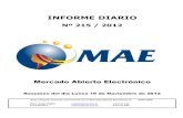 Informe Diario MAE 19-11-12