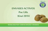 Pac Life Kiwi 2014