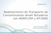 Modelamiento Transporte Contaminantes MODFLOW MT3DMS
