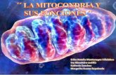 La mitocondria y sus funciones