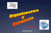 Organizacion & gerencia