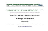 Sintesis Informativa 150211