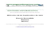 Sintesis informativa 2809 2011