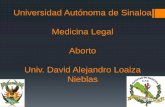 Aborto Medicina Legal Mexico