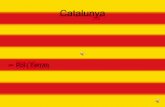Catalunya Pol Camps I Ferran