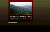 Sierra tarahumara ed. 276