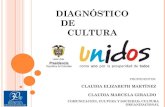 Presentación diagnóstico cultural