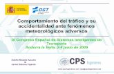 Compartamiento del tráfico ante meteorología adversa 2009