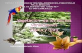 Presentación tema Biomas, Flora y Fauna Venezolana
