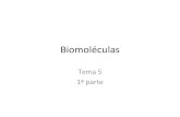 By g tema 5 (1º parte) biomoléculas