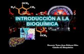 Bioquímica odontología  1°clase  i-unidad