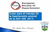 Guias europeas de hipertension 2013
