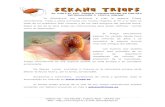 Sekano triops manual 4.0
