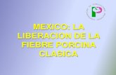 México: la liberación de la Fiebre Porcina