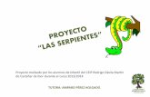 Proyecto Las Serpientes Infantil Amparo Perez Holgado