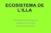 Presentacio de l'ecosistema de l'illa de Alba Montanya, Ivet Pubill i Carles Franco.