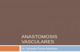 Anastomosis vasculares