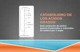 Catabolismo de los acidos grasos (betaoxidacion)