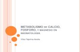 metabolismo de calcio, fosforo, y magnesio EN NEONATOS-neo