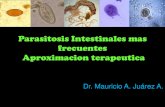 Parasitosis intestinales mas frecuentes