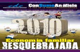 Boletin consumo-analisis-5-economia-familiar-2010-resquebrajada