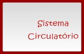 Sistema circulatorio 1_