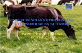 Consecuencias nutricionales y económicas de los biocombustibles en el tambo
