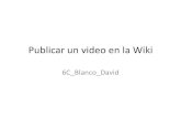 Publicar Un Video en La Wiki