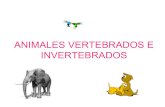 Ppt de animales vertebrados e invertebrados