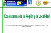 Ecosistemas de la Region y la Localidad Piura