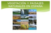 Vegetación y paisajes naturales España