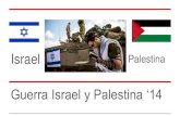Guerra israel y palestina agosto 2014 resumen
